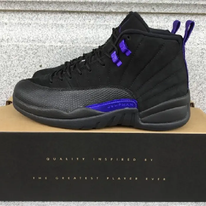 Air Jordan 12 Dark Concord (1) Air Jordan 12 Dark Concord (1)